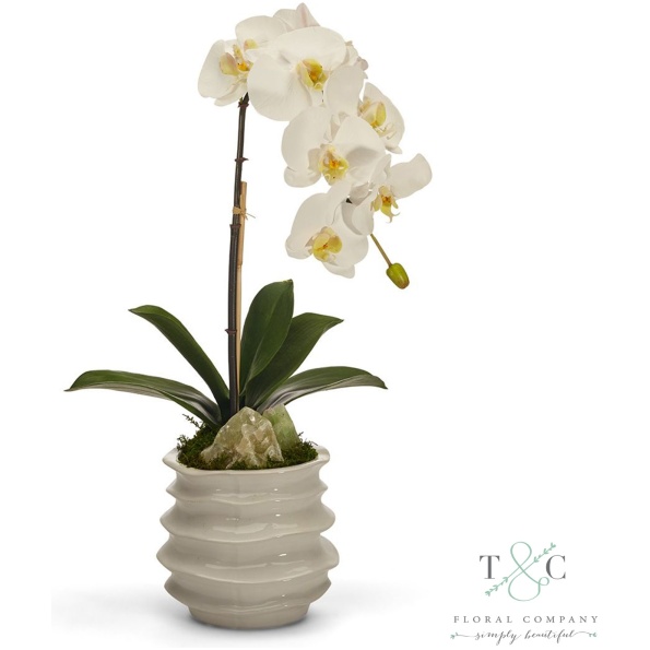 White Orchid In White Wavy Pot With Green Calcite - 7L X 7W X 22H Floral Arrangement