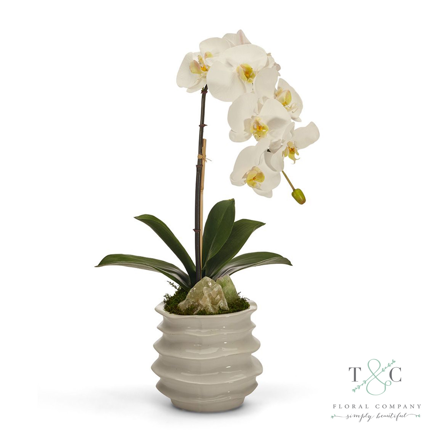 White Orchid in White Wavy Pot with Green Calcite - 7L x 7W x 22H Floral Arrangement