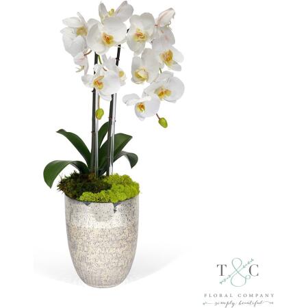 White Double Orchid in Vintage Beehive Vase - 23L X 8W X 8H Floral Arrangement