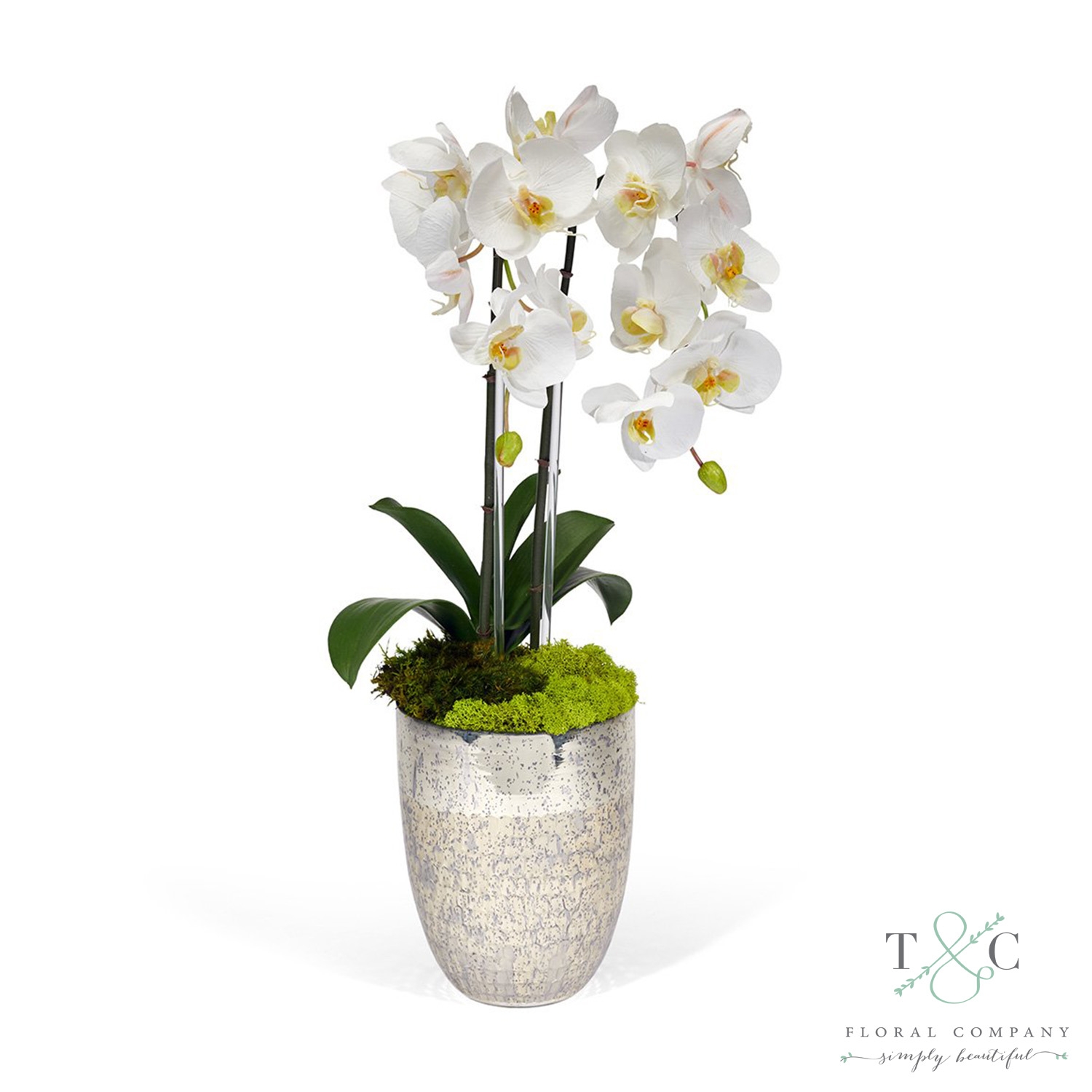 White Double Orchid in Vintage Beehive Vase - 23L X 8W X 8H Floral Arrangement