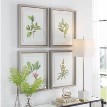 Wildflower Study-Leaf / Floral Art