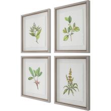 Wildflower Study-Leaf / Floral Art