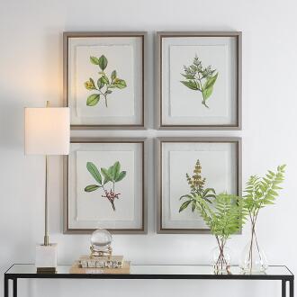 Uttermost Wildflower Study Framed Prints