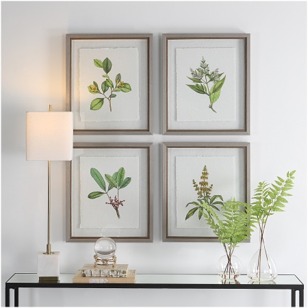 Uttermost Wildflower Study Framed Prints