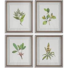 Wildflower Study-Leaf / Floral Art