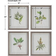 Wildflower Study-Leaf / Floral Art
