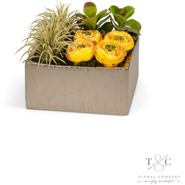 Yellow Cabbage Roses in Silver Square - 8L x 8W x 5H Floral Arrangement