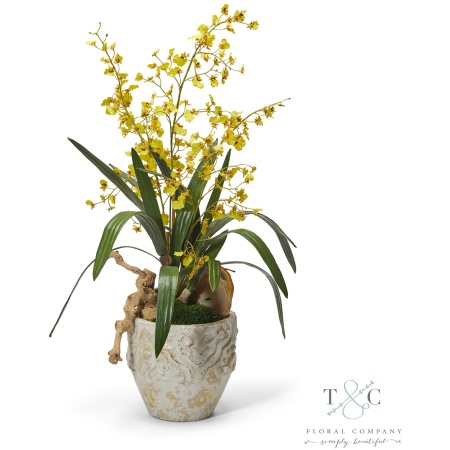 Yellow Dancing Orchids - 33L X 14W X 14H Floral Arrangement