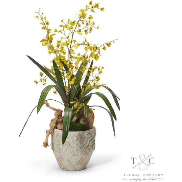 Yellow Dancing Orchids - 33L X 14W X 14H Floral Arrangement