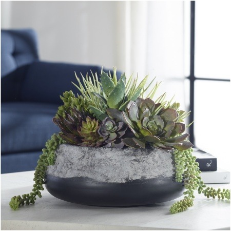 Uttermost Yuma Succulent Centerpiece