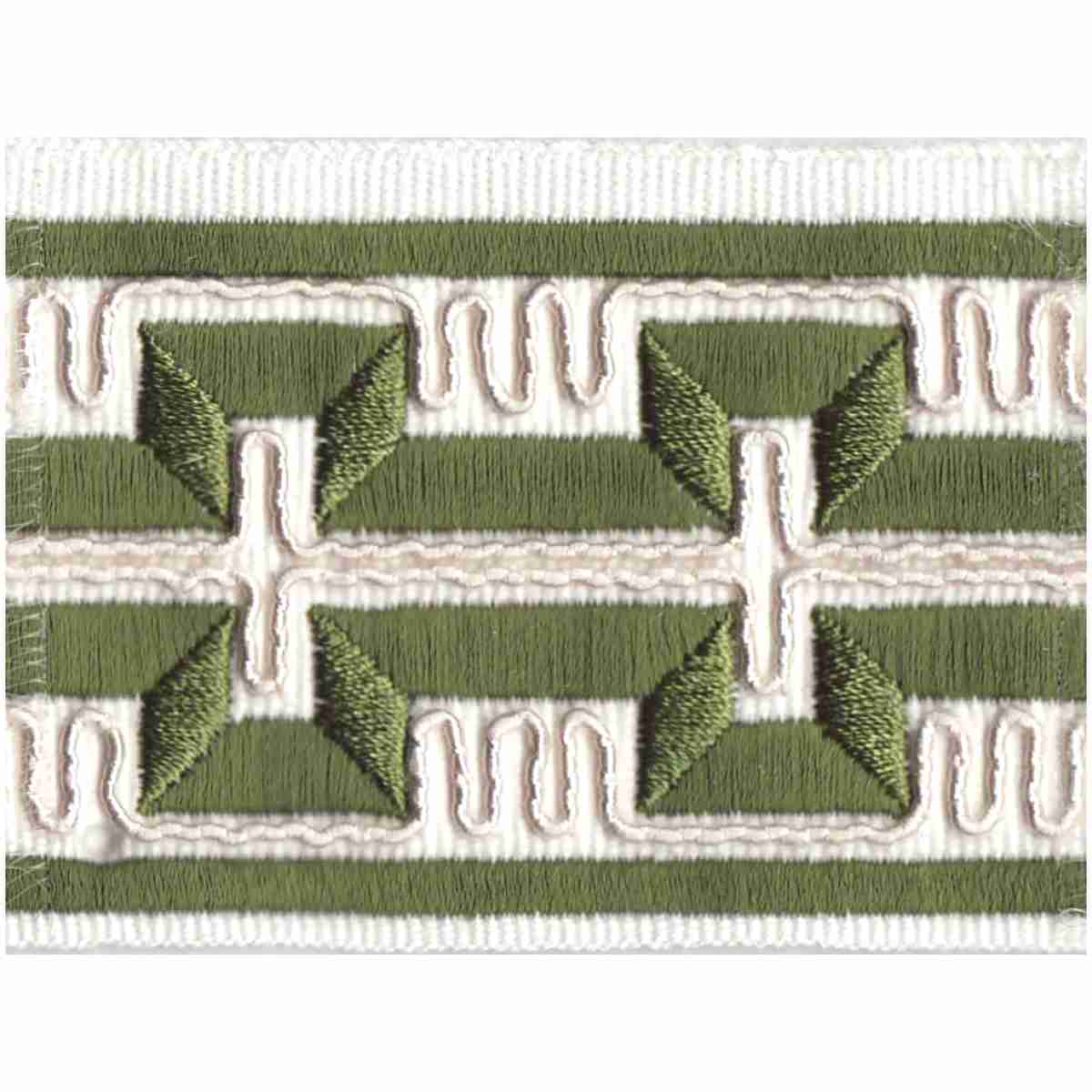 Transept Tape/Green - Tape Trim - Spring